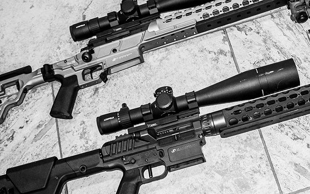 Gas Gun or Bolt Gun?