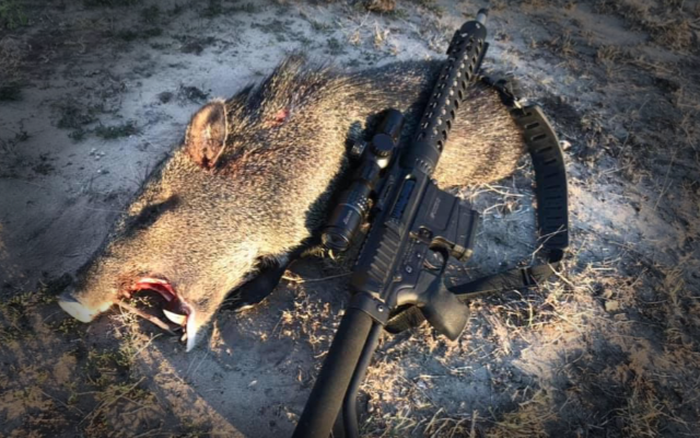 Making Your AR Hunt: 2020 Hindsight